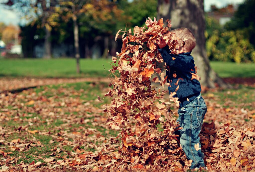 Kid playing in leaves during fall.
